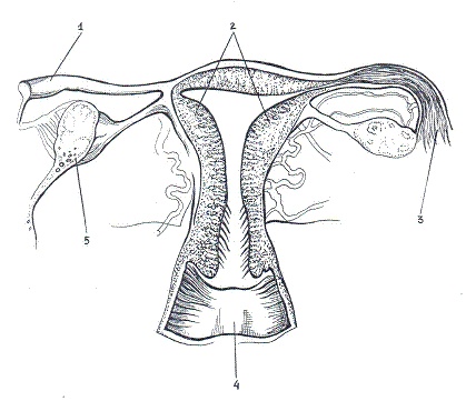 Иллюстрация к книге — Как достичь надежности в близких отношениях и уверенности в себе [pic_1.jpg]