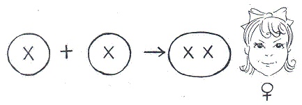 Иллюстрация к книге — Как достичь надежности в близких отношениях и уверенности в себе [pic_17.jpg]