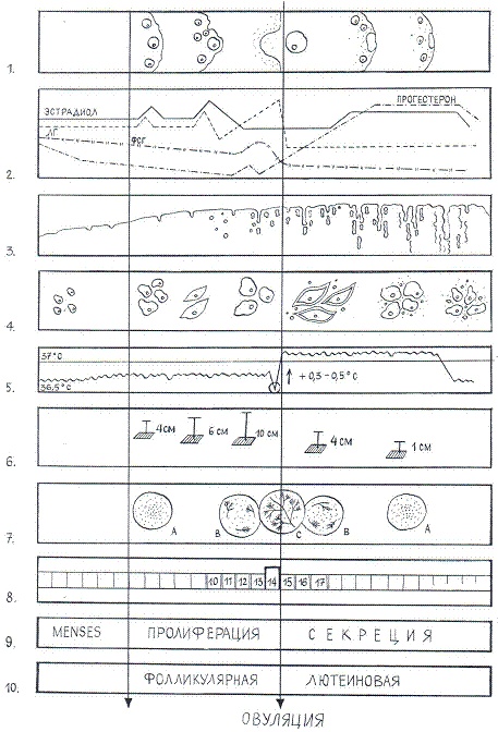 Иллюстрация к книге — Как достичь надежности в близких отношениях и уверенности в себе [pic_23.jpg]