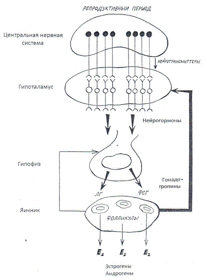 Иллюстрация к книге — Как достичь надежности в близких отношениях и уверенности в себе [pic_3.jpg]