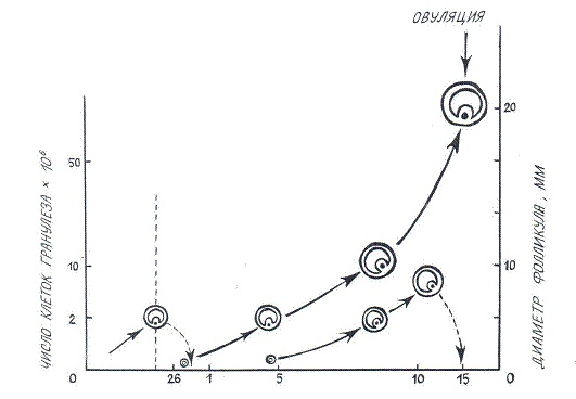 Иллюстрация к книге — Как достичь надежности в близких отношениях и уверенности в себе [pic_6.jpg]