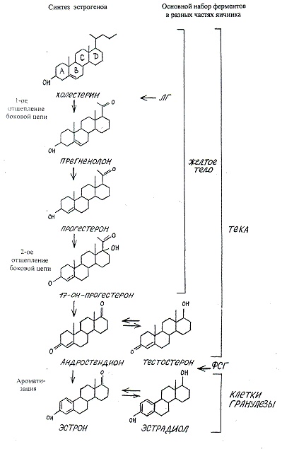 Иллюстрация к книге — Как достичь надежности в близких отношениях и уверенности в себе [pic_8.jpg]