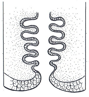 Иллюстрация к книге — Как достичь надежности в близких отношениях и уверенности в себе [pic_9.jpg]