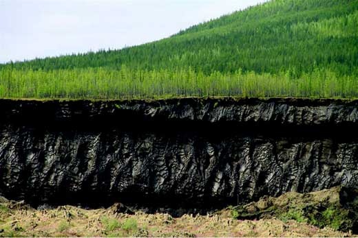 Иллюстрация к книге — Наука воскрешения видов. Как клонировать мамонта [i_022.jpg]