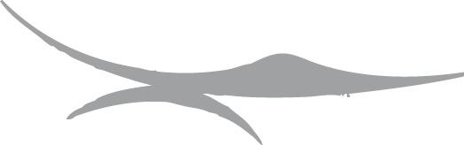 Иллюстрация к книге — Живые мысли. Отношения. Как понимать советы и подсказки Мира [i_024.jpg]