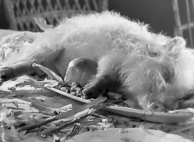 Иллюстрация к книге — Наша Любовь [i_057.jpg]