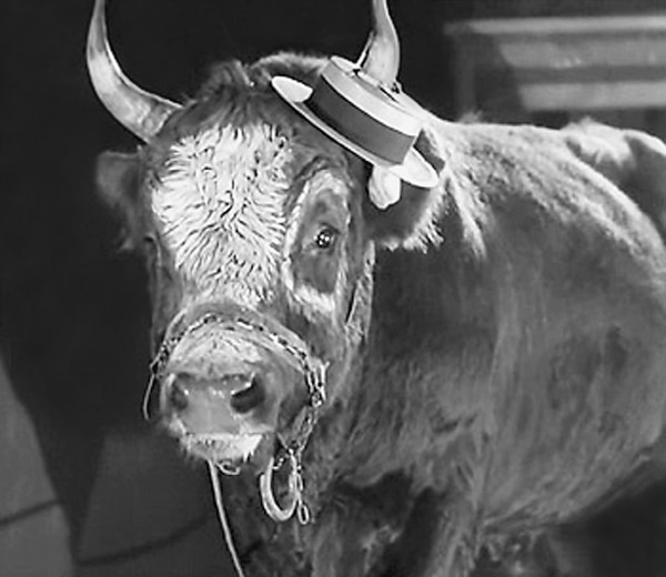 Иллюстрация к книге — Наша Любовь [i_058.jpg]