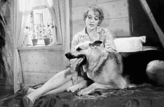 Иллюстрация к книге — Наша Любовь [i_091.jpg]