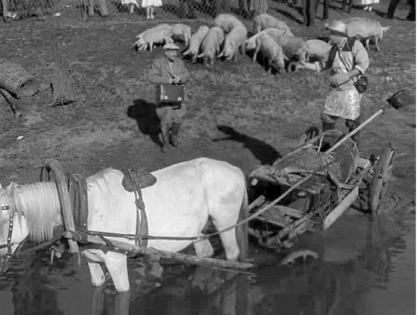 Иллюстрация к книге — Наша Любовь [i_099.jpg]