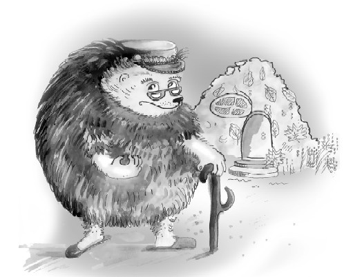 Иллюстрация к книге — Сказоёжики бабушки Колючки [i_003.jpg]