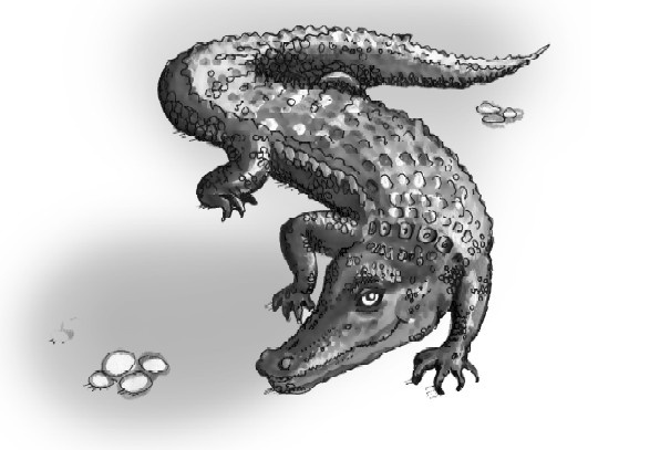 Иллюстрация к книге — Сказоёжики бабушки Колючки [i_004.jpg]