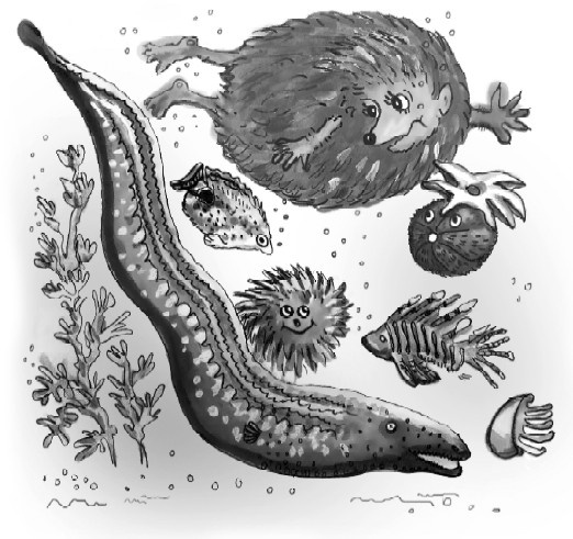 Иллюстрация к книге — Сказоёжики бабушки Колючки [i_010.jpg]