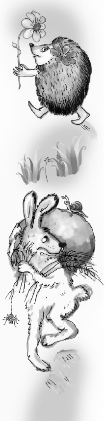 Иллюстрация к книге — Сказоёжики бабушки Колючки [i_016.jpg]