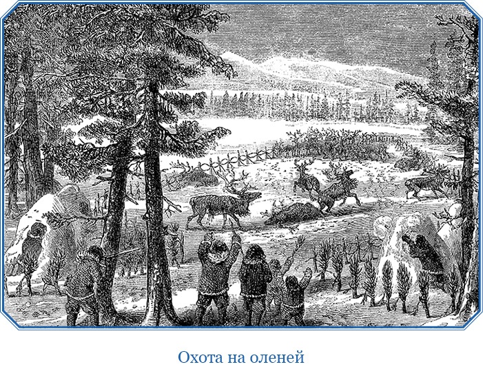 Иллюстрация к книге — Путешествие по Сибири и Ледовитому морю [i_049.jpg]