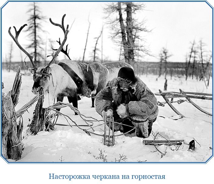 Иллюстрация к книге — Путешествие по Сибири и Ледовитому морю [i_073.jpg]