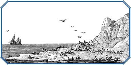 Иллюстрация к книге — Путешествие по Сибири и Ледовитому морю [i_074.jpg]