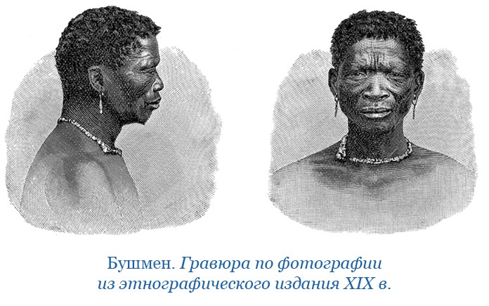 Иллюстрация к книге — Путешествие в Индию [i_027.jpg]