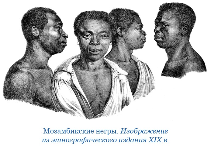 Иллюстрация к книге — Путешествие в Индию [i_038.jpg]