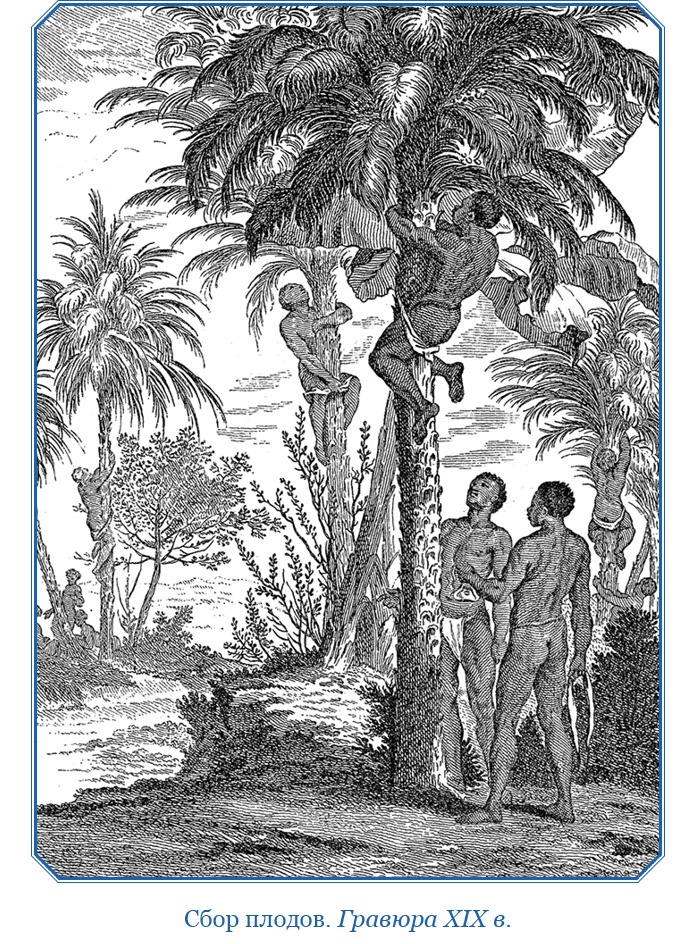 Иллюстрация к книге — Путешествие в Индию [i_045.jpg]