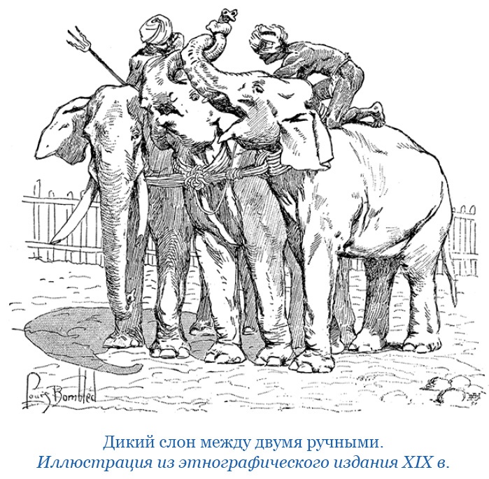 Иллюстрация к книге — Путешествие в Индию [i_083.jpg]