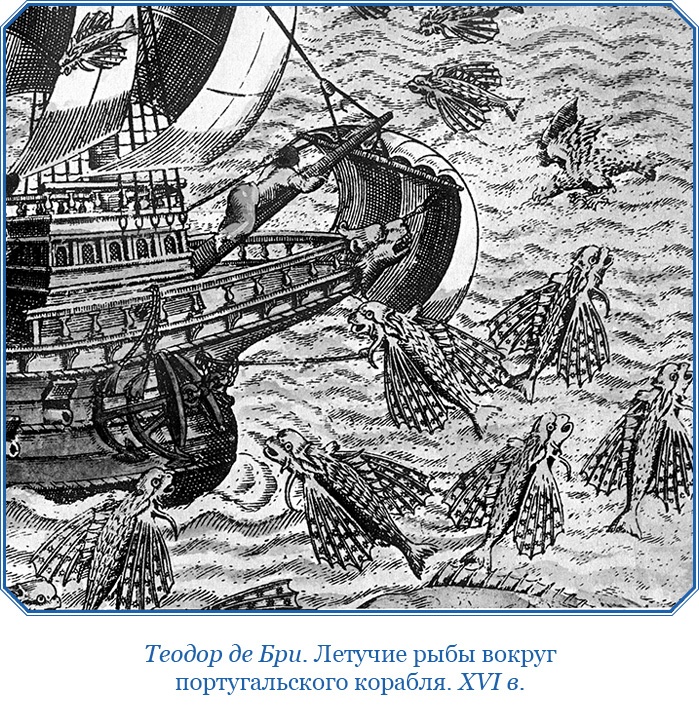 Иллюстрация к книге — Путешествие в Индию [i_089.jpg]