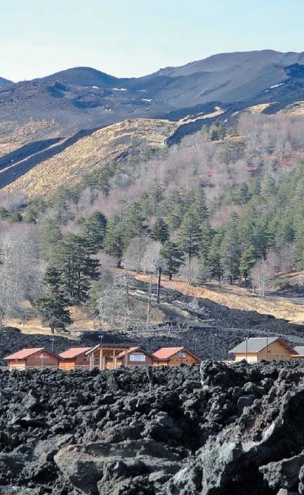 Иллюстрация к книге — Настоящий итальянец [i_004.jpg]