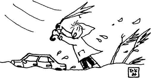 Иллюстрация к книге — Япония: нестандартный путеводитель [img_19.jpg]