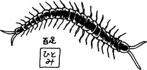 Иллюстрация к книге — Япония: нестандартный путеводитель [img_24.jpg]
