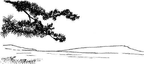 Иллюстрация к книге — Япония: нестандартный путеводитель [img_25.jpg]