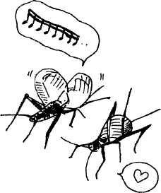 Иллюстрация к книге — Япония: нестандартный путеводитель [img_31.jpg]