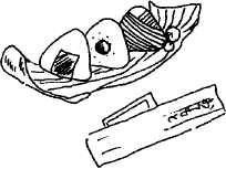 Иллюстрация к книге — Япония: нестандартный путеводитель [img_36.jpg]