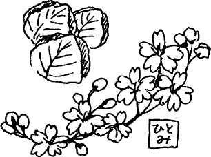 Иллюстрация к книге — Япония: нестандартный путеводитель [img_55.jpg]