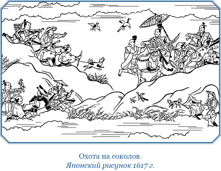 Иллюстрация к книге — Записки капитана флота [i_111.jpg]