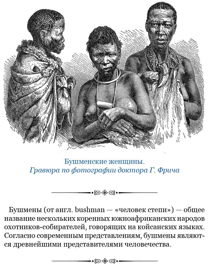 Иллюстрация к книге — Фрегат «Паллада» [i_045.jpg]