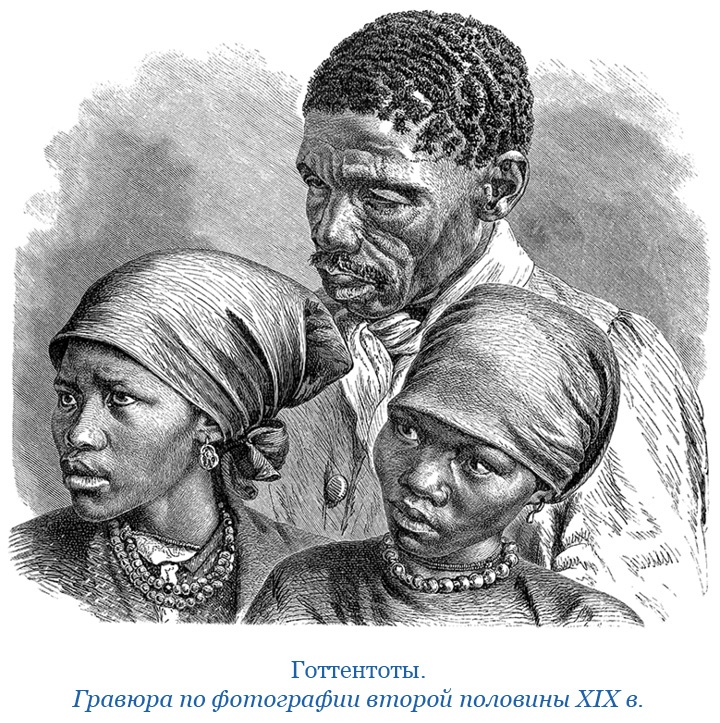 Иллюстрация к книге — Фрегат «Паллада» [i_059.jpg]