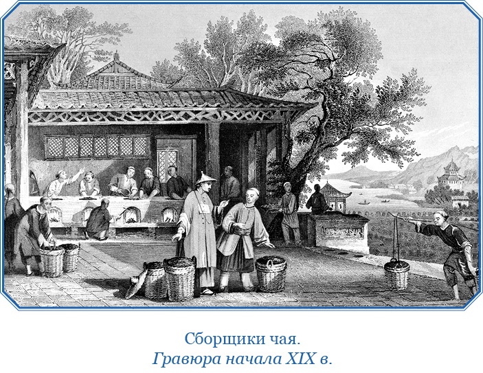 Иллюстрация к книге — Фрегат «Паллада» [i_113.jpg]