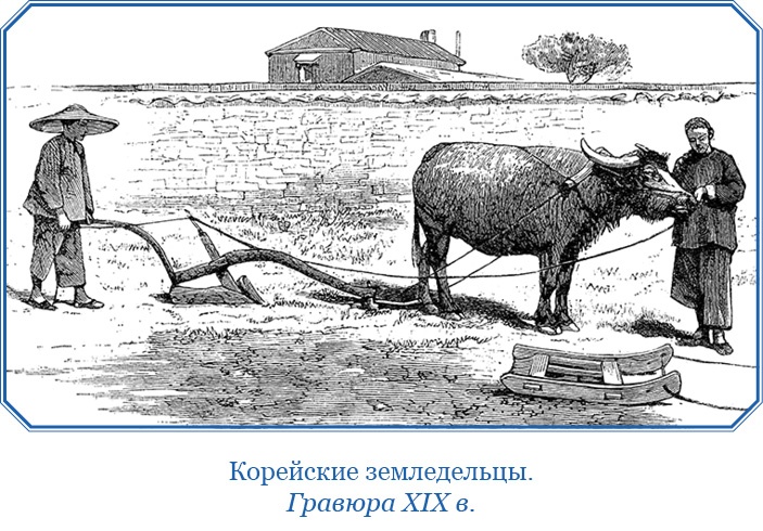 Иллюстрация к книге — Фрегат «Паллада» [i_149.jpg]