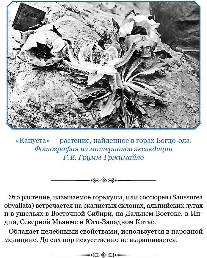 Иллюстрация к книге — По ступеням «Божьего трона» [i_036.jpg]