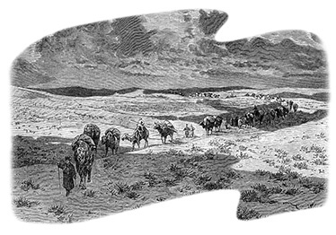 Иллюстрация к книге — По ступеням «Божьего трона» [i_038.jpg]