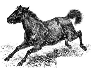 Иллюстрация к книге — По ступеням «Божьего трона» [i_117.jpg]