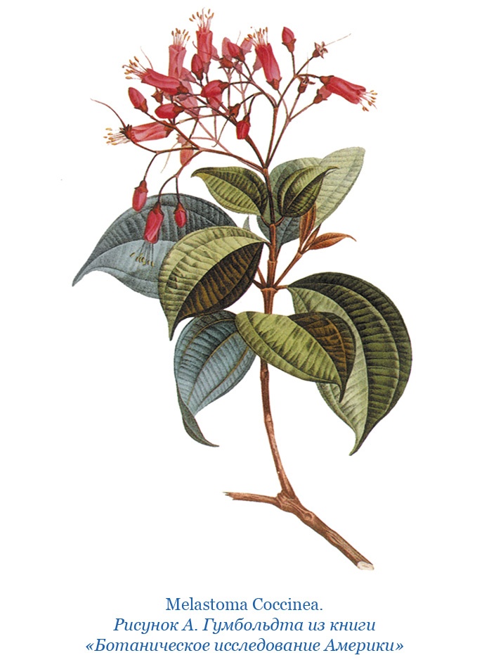 Иллюстрация к книге — Второе открытие Америки [i_016.jpg]