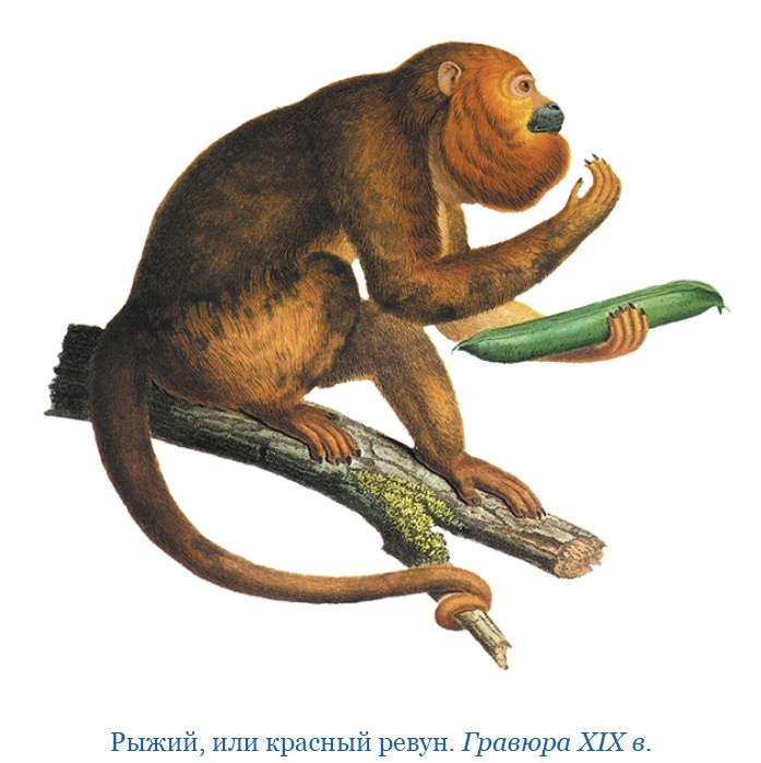 Иллюстрация к книге — Второе открытие Америки [i_019.jpg]