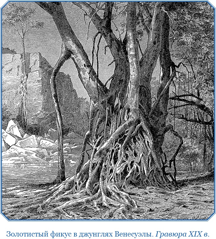 Иллюстрация к книге — Второе открытие Америки [i_031.jpg]