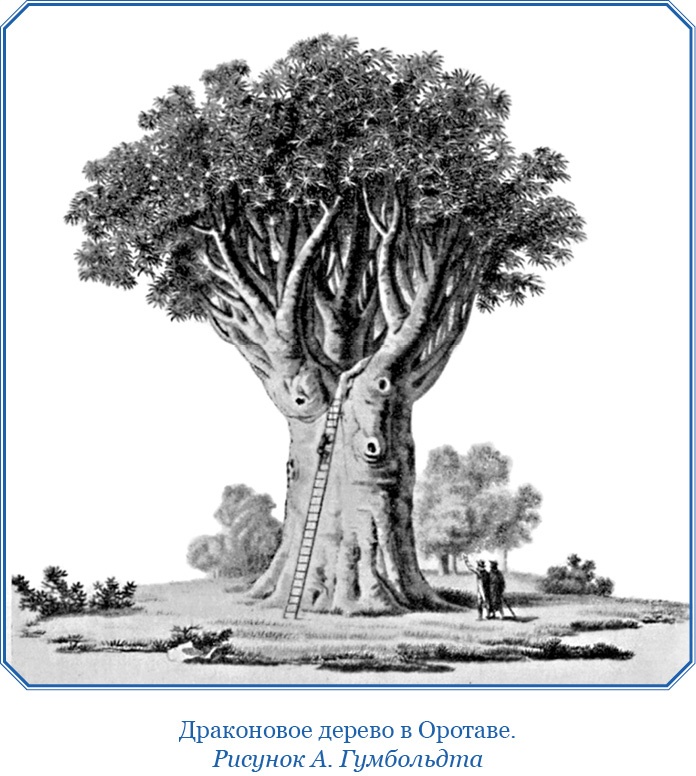 Иллюстрация к книге — Второе открытие Америки [i_032.jpg]