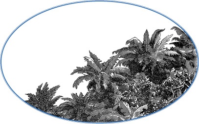 Иллюстрация к книге — Второе открытие Америки [i_033.jpg]