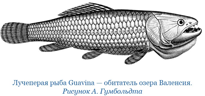 Иллюстрация к книге — Второе открытие Америки [i_035.jpg]