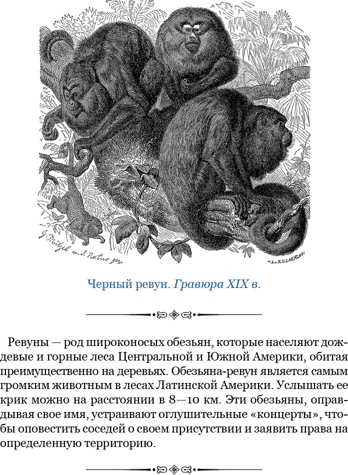 Иллюстрация к книге — Второе открытие Америки [i_040.jpg]