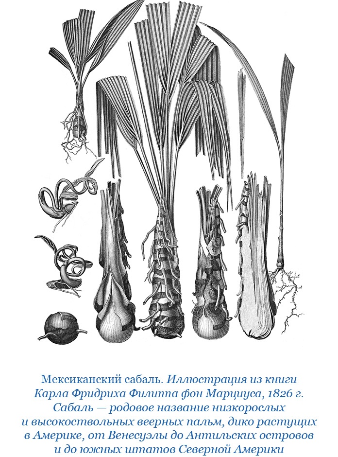 Иллюстрация к книге — Второе открытие Америки [i_041.jpg]