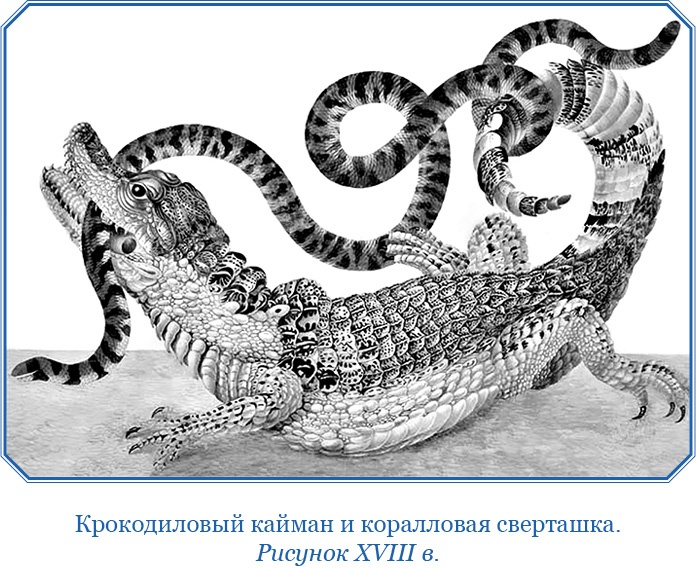 Иллюстрация к книге — Второе открытие Америки [i_043.jpg]