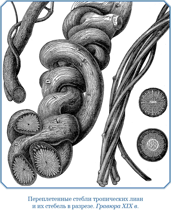 Иллюстрация к книге — Второе открытие Америки [i_051.jpg]